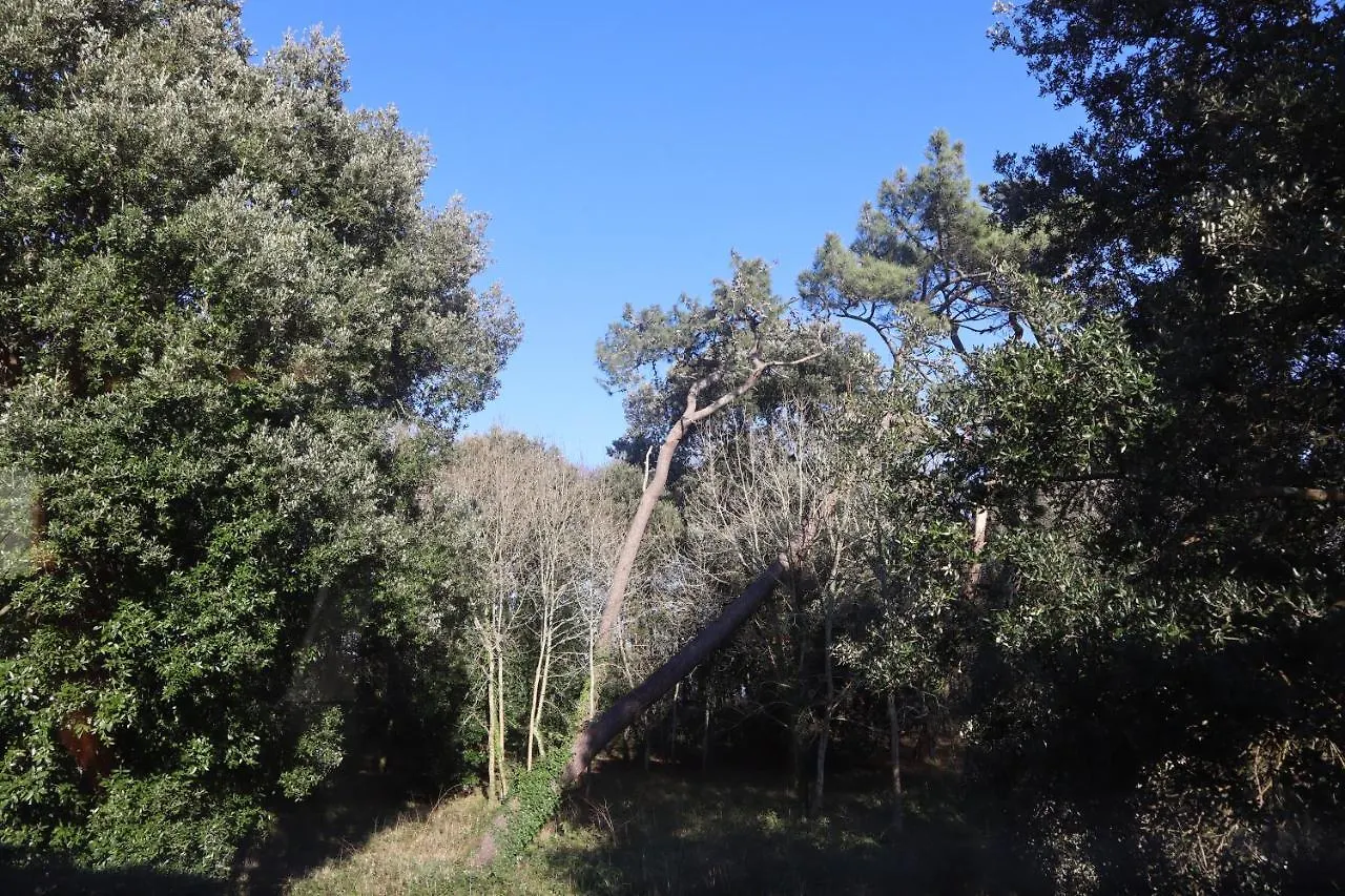 Pascanono - Location De Maison De Vacances Avec Jardin Pour Sejour A Le Palais, Belle-Ile-En-Mer
